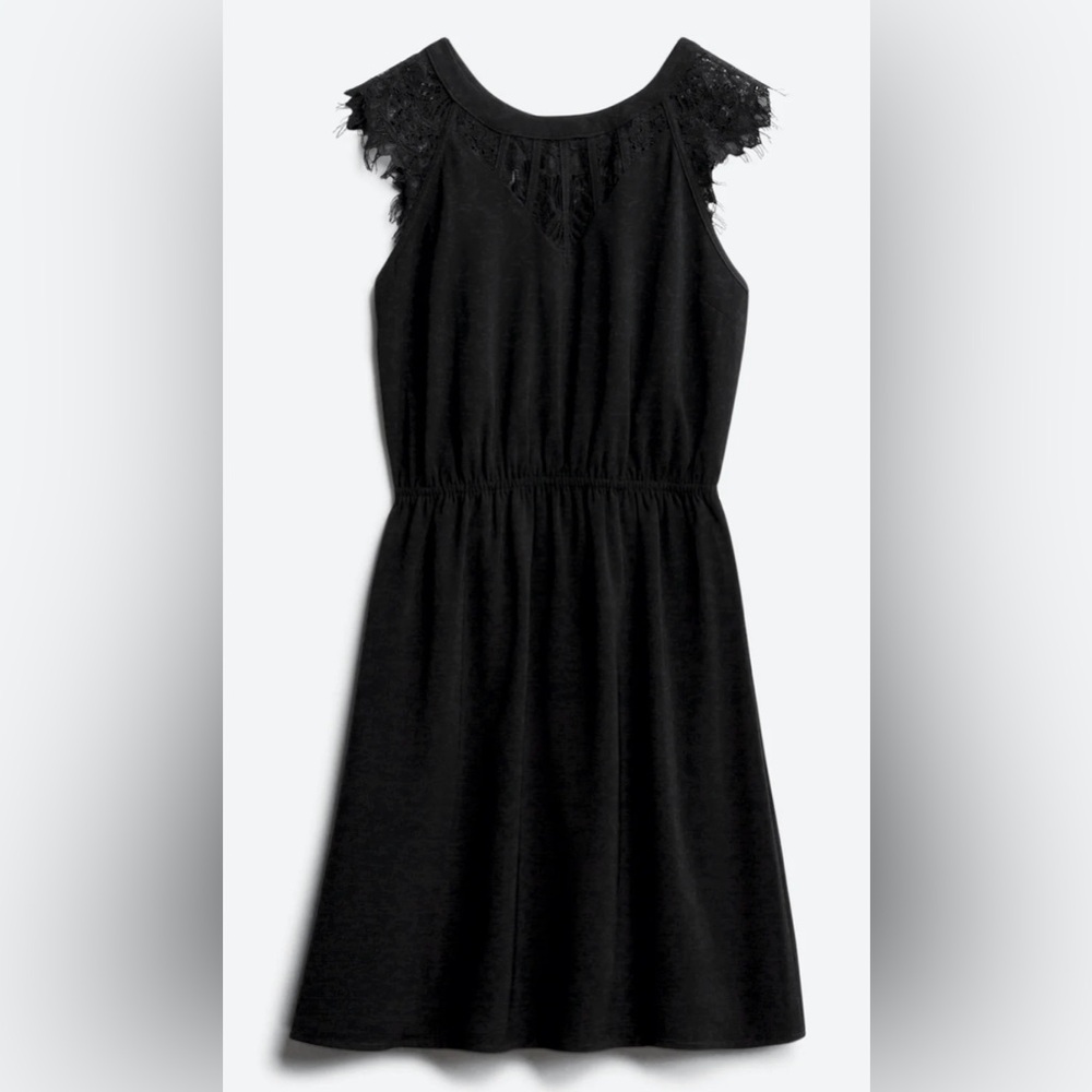 42 Hawthorn Women’s Jarred Lace Detail Dress Petite Large